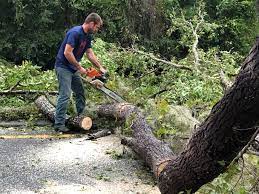 Mulching Services in Severance, CO