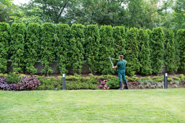 Lawn Watering Services in Severance, CO