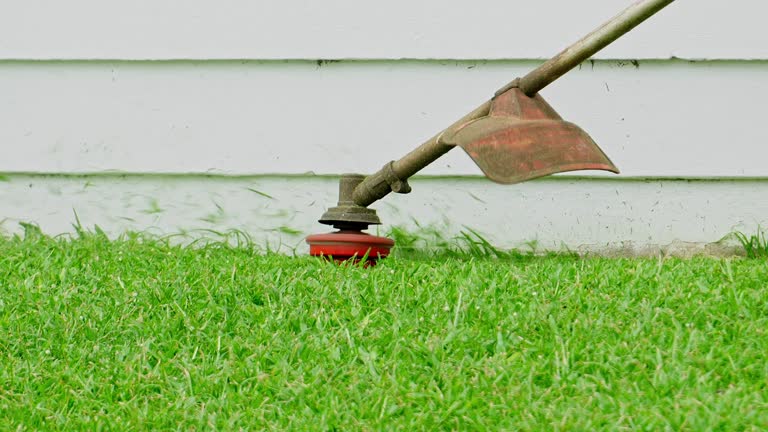 Best Aeration Services  in Severance, CO